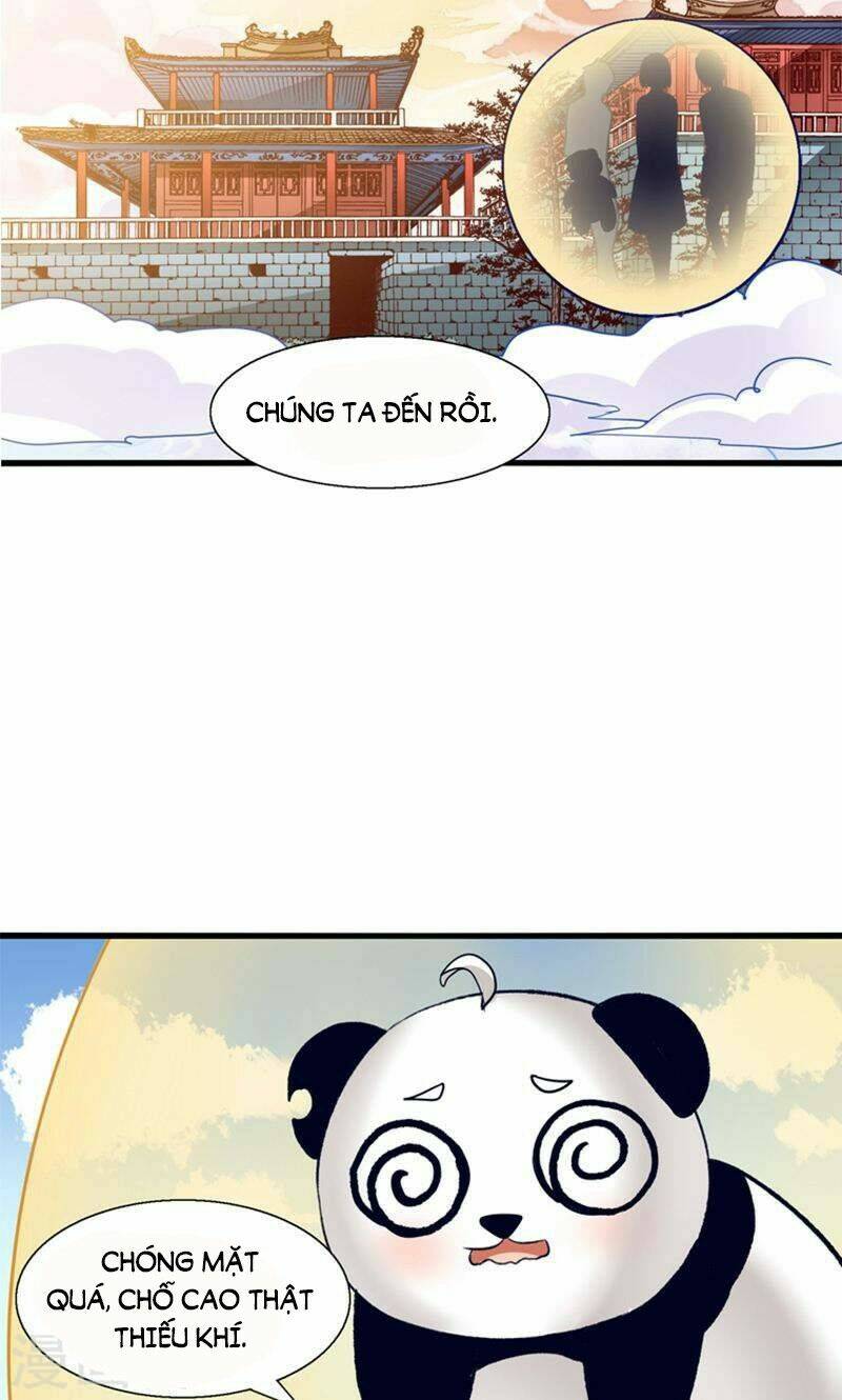 tôi bị gấu trúc nhìn trúng rồi chapter 25 15