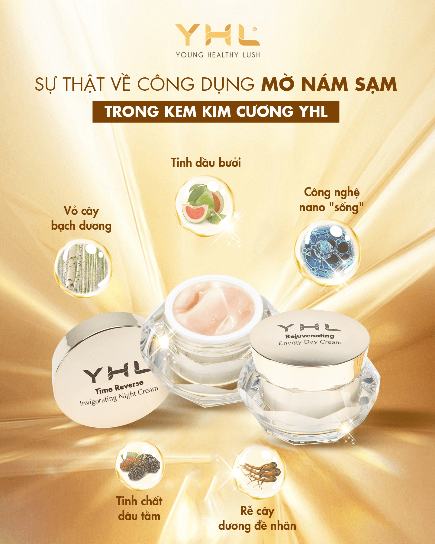 Kem Dưỡng Da Ban Đêm Hàn Quốc YHL