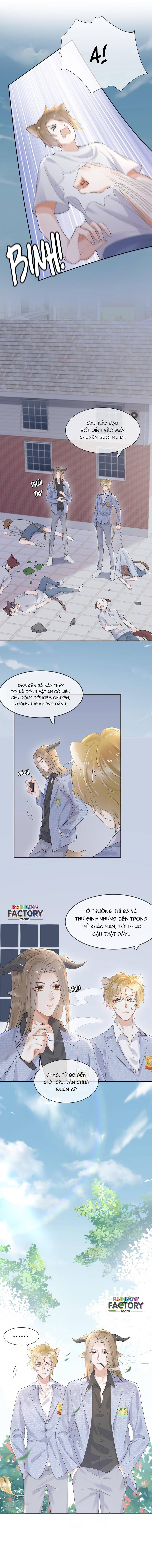 ăn một bé thỏ chapter 3 9