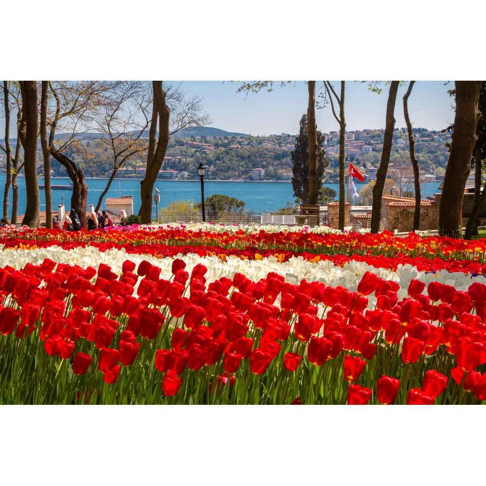 Tranh dán tường Tranh phong cảnh thiên nhiên rừng hoa tulip, tranh dán tường 3d hiện đại