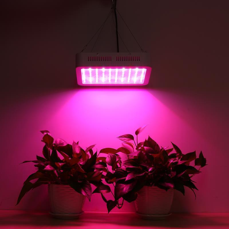 Đèn Led trồng cây, đèn trồng cây trong nhà, led grow light (GL-300W) - Home and Garden