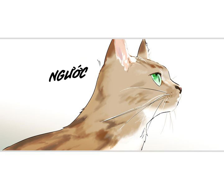 cổ tích về người mẹ kế chapter 54 68