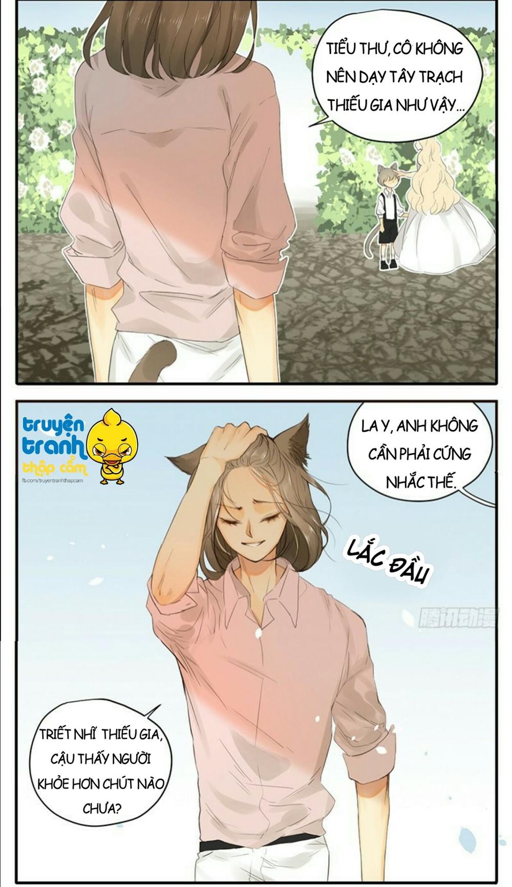 cứu mạng ! loài mèo thống trị thế giới rồi ! chapter 34 5