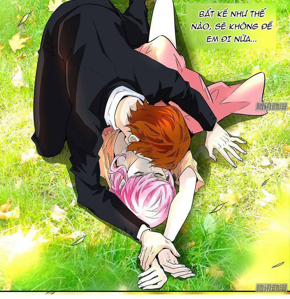 cường sủng hào môn tiểu manh thê chapter 5 10