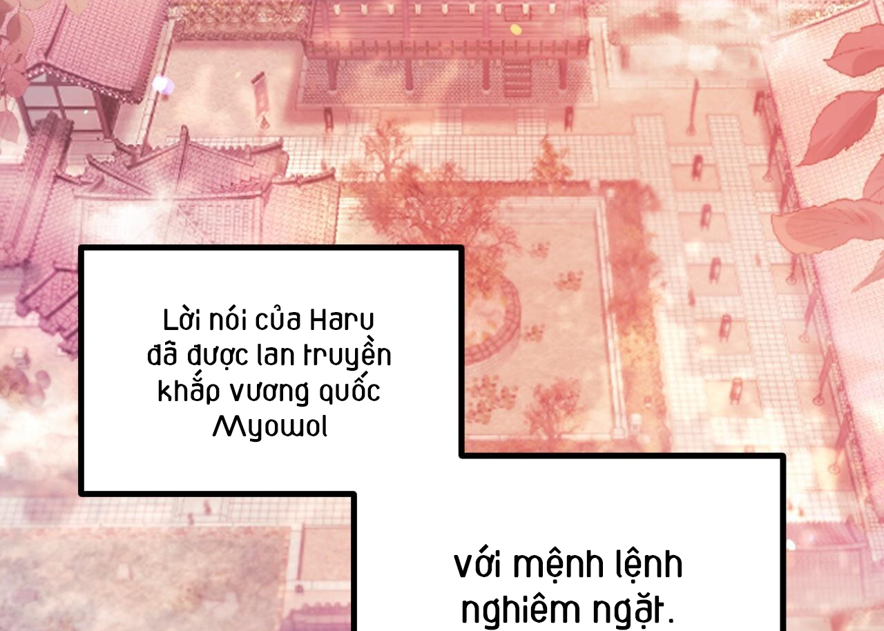 đàn thỏ của habibi chapter 63 74