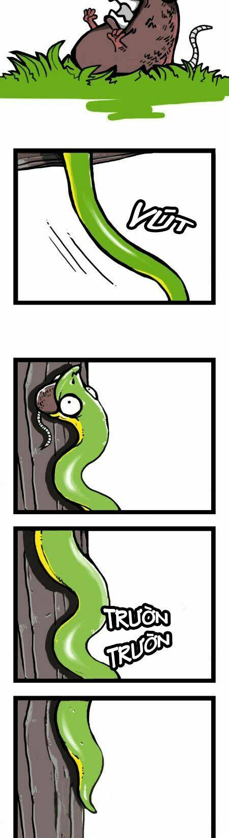 earth, human, and animal chapter 4 6