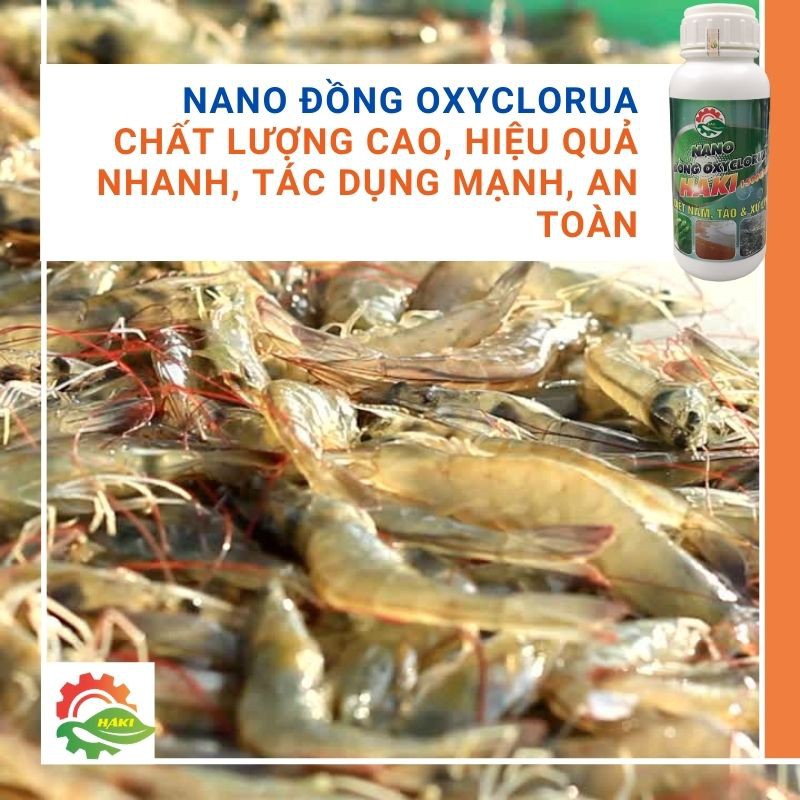 Nano đồng xử lý nước cho ao nuôi và bể cá cảnh . Chai 500ml nano đồng oxyclorua Haki chuyên diệt nấm, diệt rêu, cắt tảo, xử lý nước