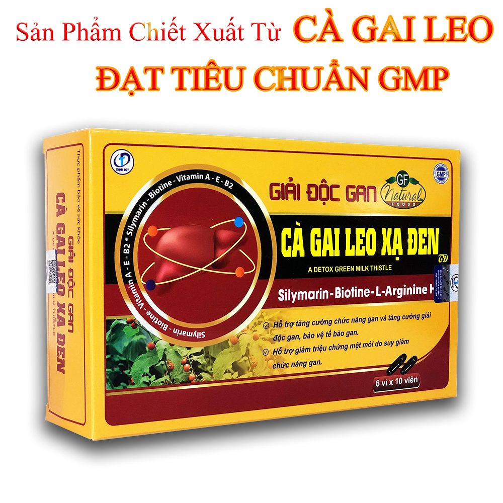 Cà Gai Leo Xạ Đen - Viên Uống Bổ Gan, Giải Độc Gan, Tăng Cường Chức Năng Gan (Hộp 60 Viên)