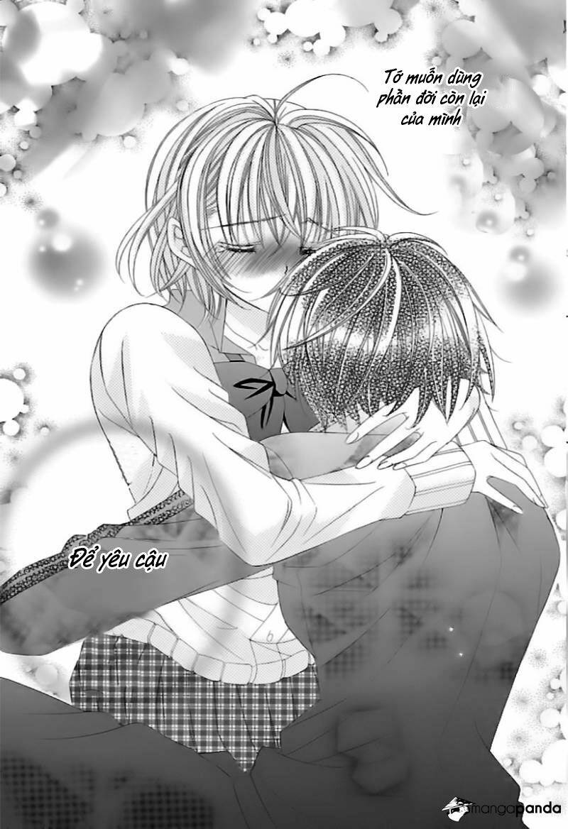 suki desu suzuki-kun!! chapter 66 5