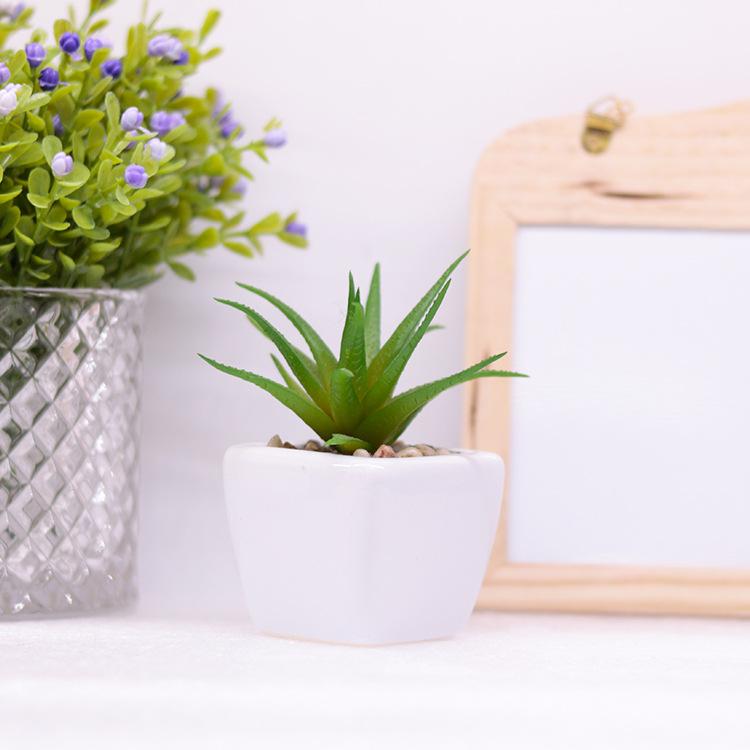 1 Nhân Tạo Vật Có Hoa Trong Nhà Nhựa Nhỏ Nhân Tạo Thực Vật Mọng Nước Với Nồi Gốm Giả Thực Vật Xanh Trang Trí