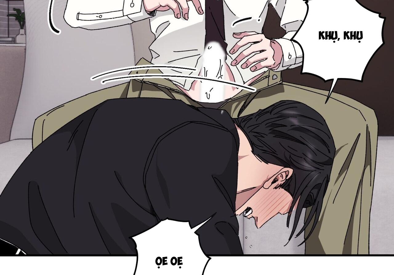 chàng dâu nhà họ kang chapter 34 92