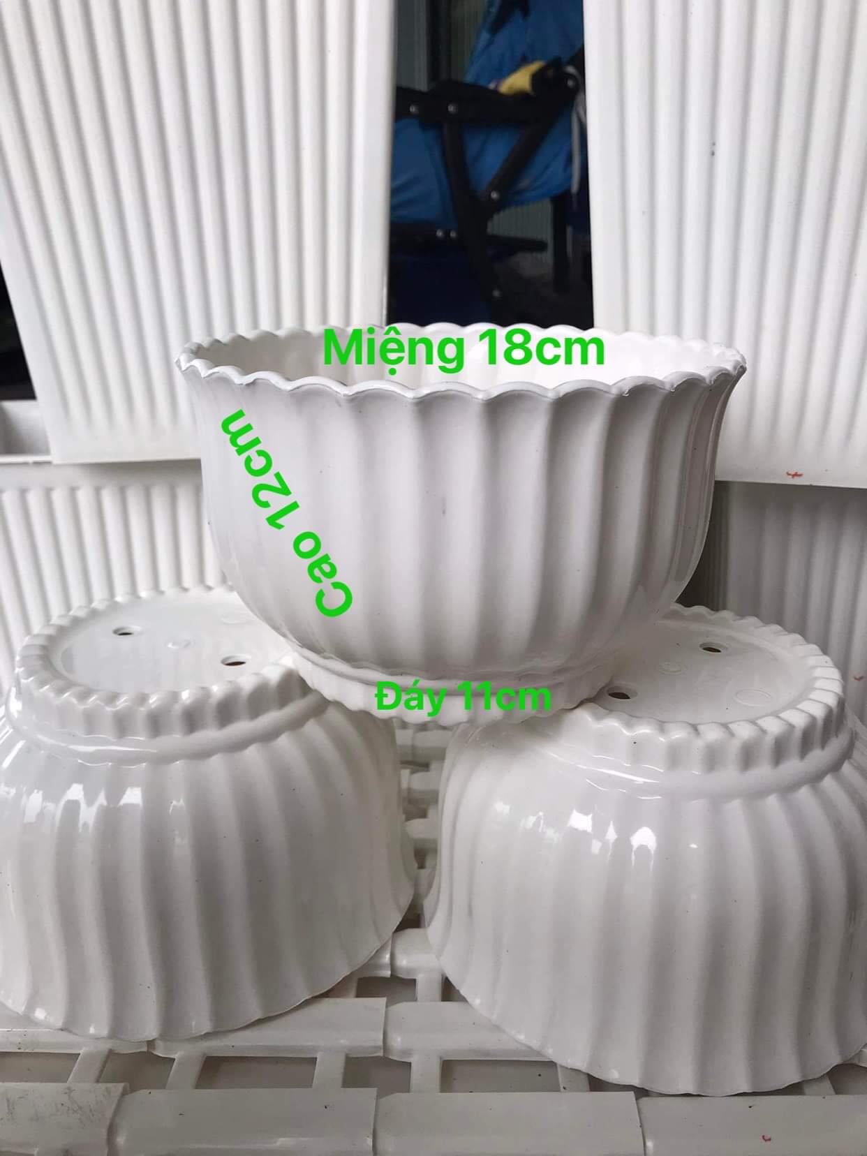 Chậu Nhựa Trắng Sọc 18 x 12 x11 - Chậu Nhưa Trông Cây Cảnh, Cây Hoa
