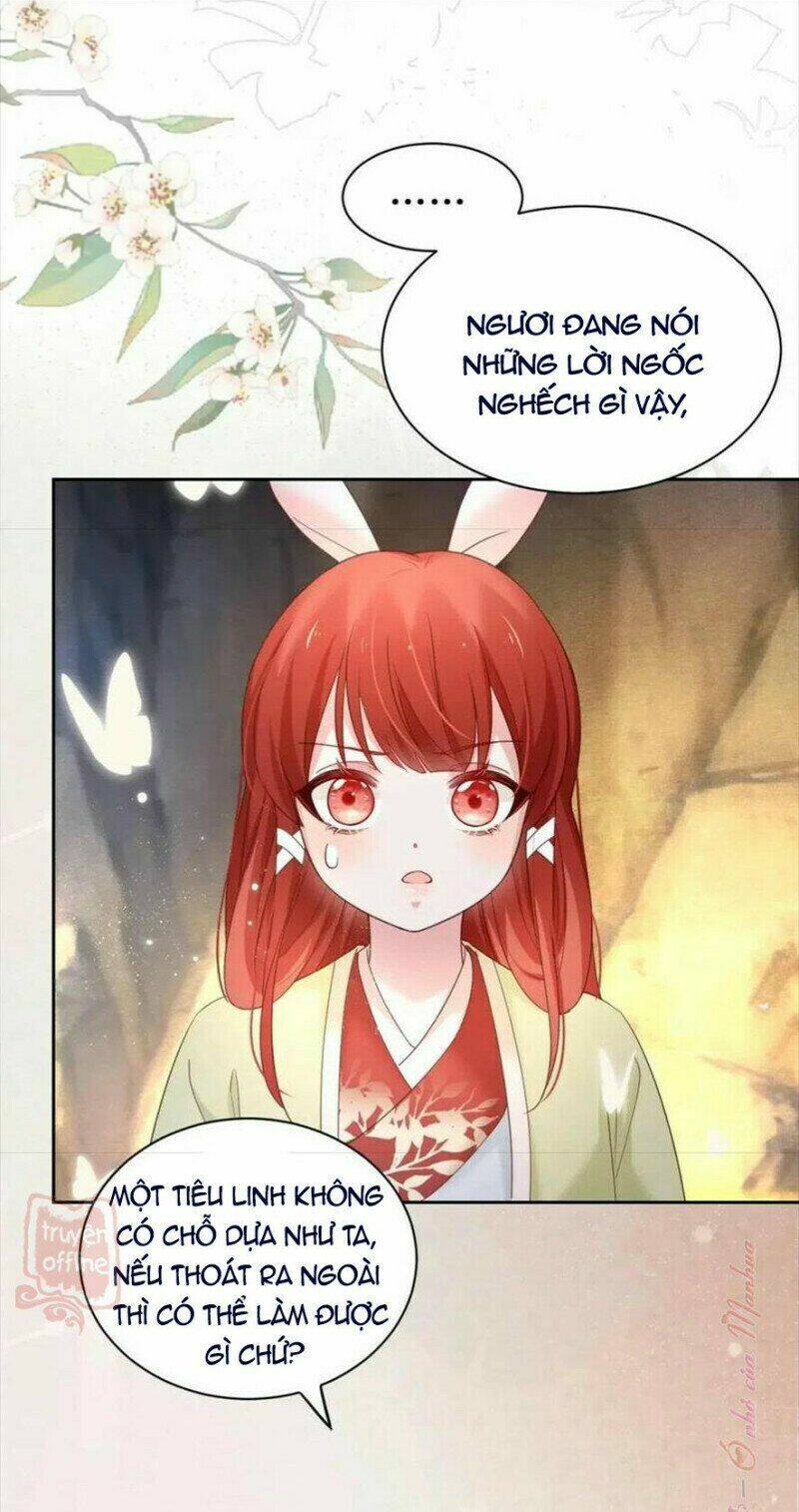 hắc hóa nam chính trực tuyến nuôi thỏ chapter 54 28