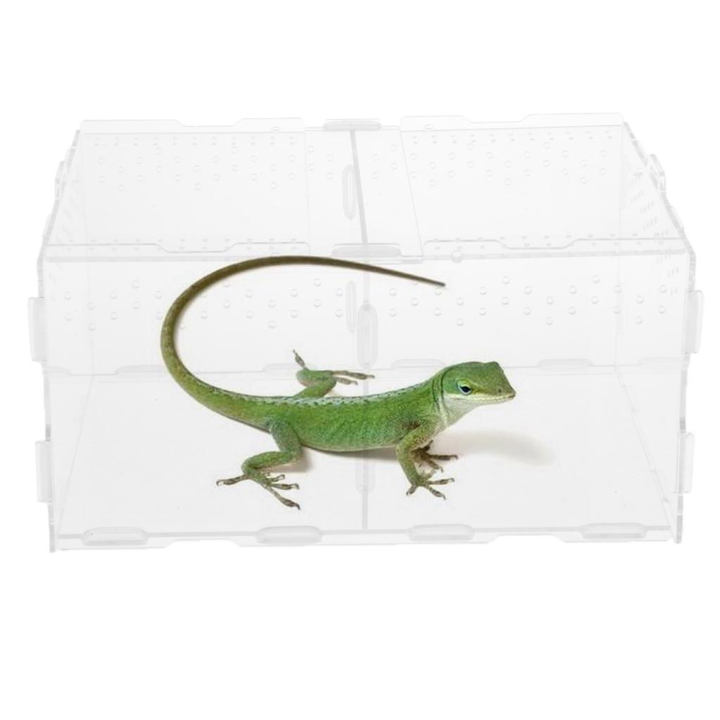 Acrylic Feeding Container Breeding Room for Reptile