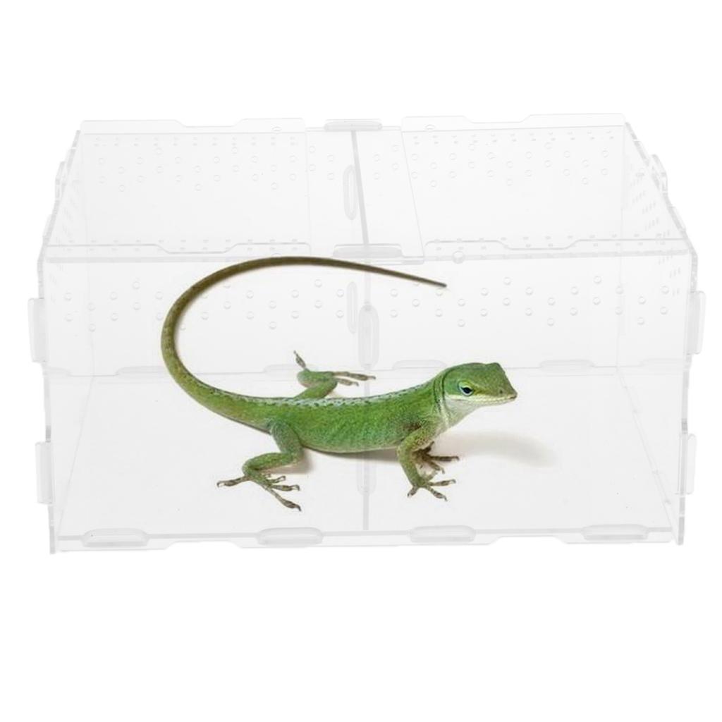 Acrylic Feeding Container Breeding Box An Room for Reptile