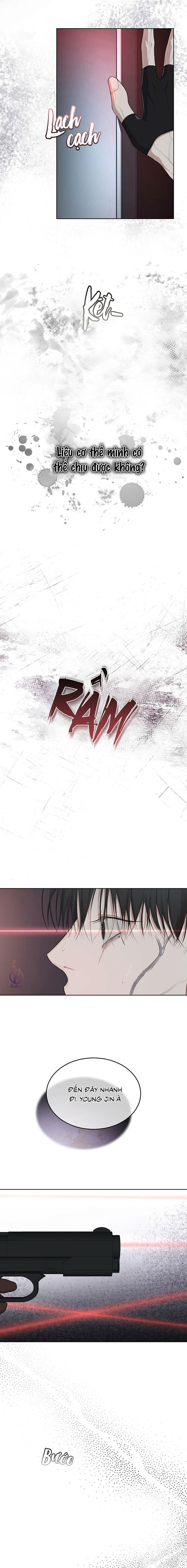 hình thái khởi sinh chapter 56 10