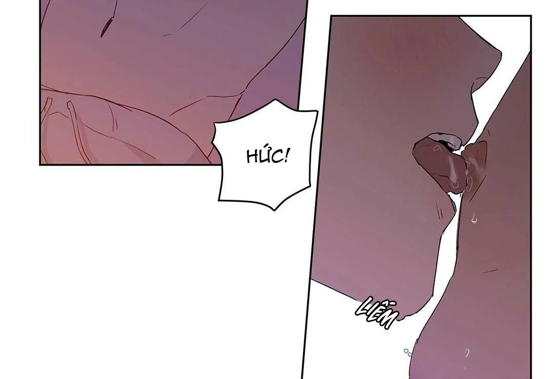 guide cấp b chapter 20 131