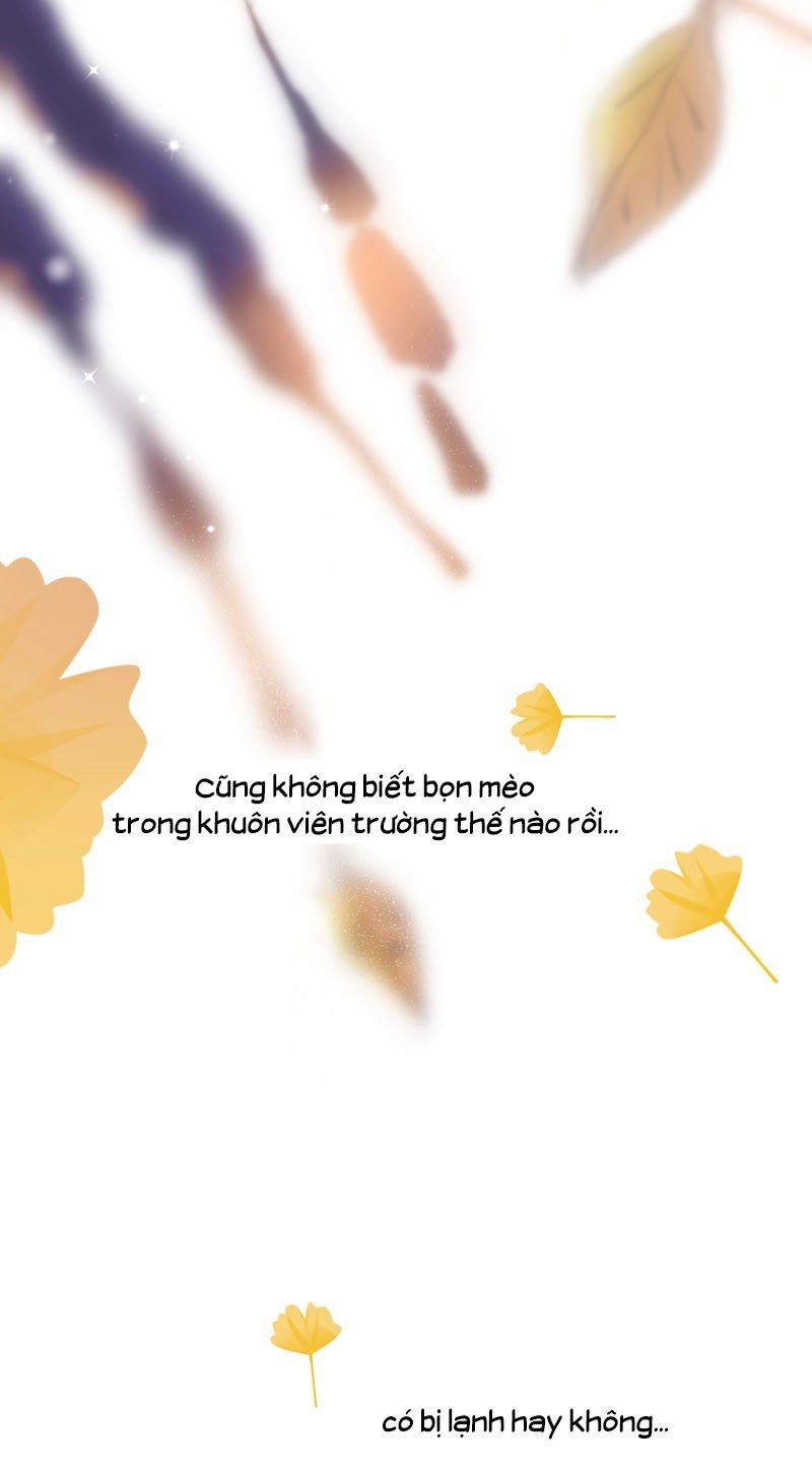 người đàn ông ấy khiến tôi không thể cưỡng lại chapter 11 6