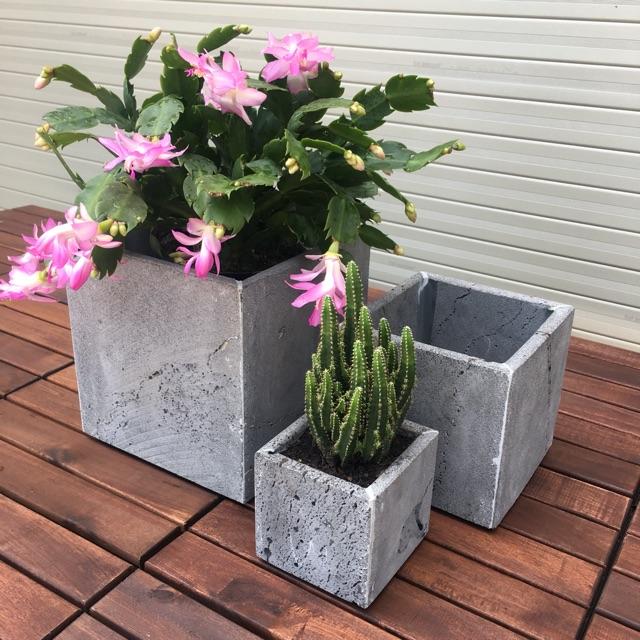 Combo 3 chậu trồng cây KT 20x20, 15x15, 10x10 ban công bằng đá ong xám tự nhiên bền đẹp