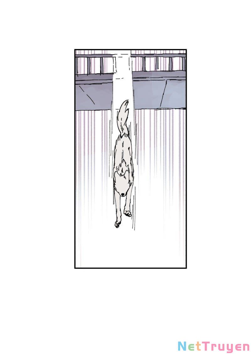 lumine - cội nguồn ánh sáng chapter 89 34