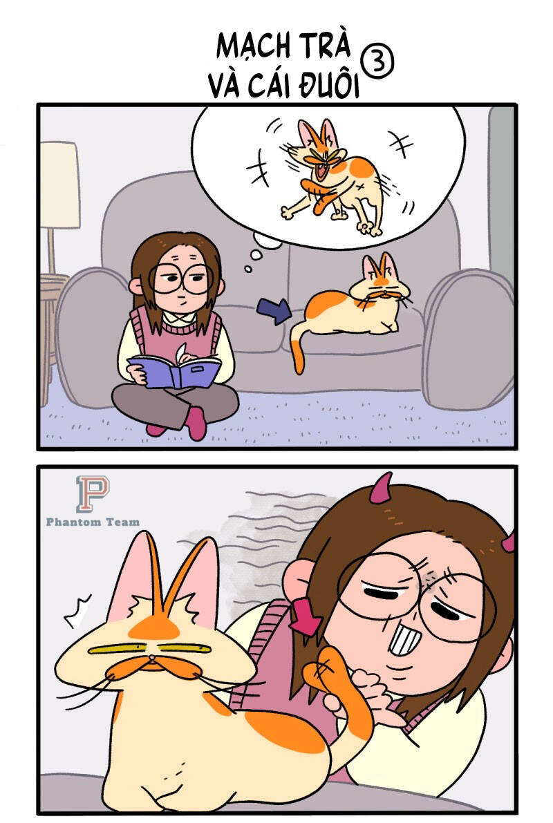 a mãn và mạch trà chapter 8 5