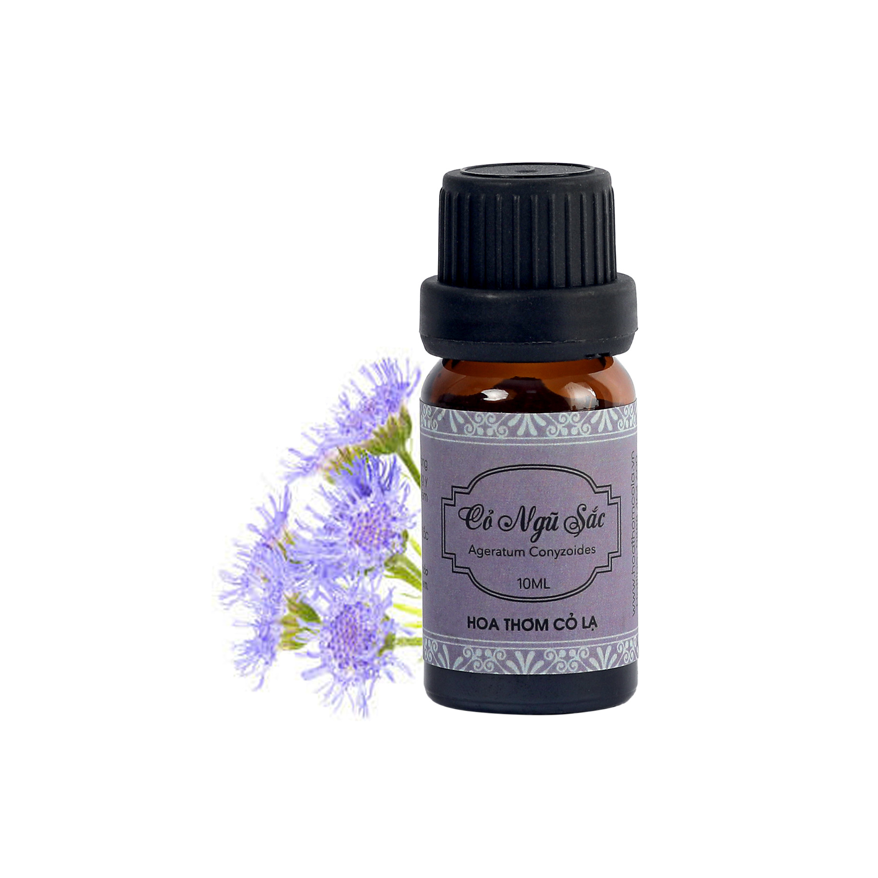 Tinh Dầu Cỏ Ngũ Sắc - Ageratum Grass Essential Oil 10ml - Hoa Thơm Cỏ Lạ