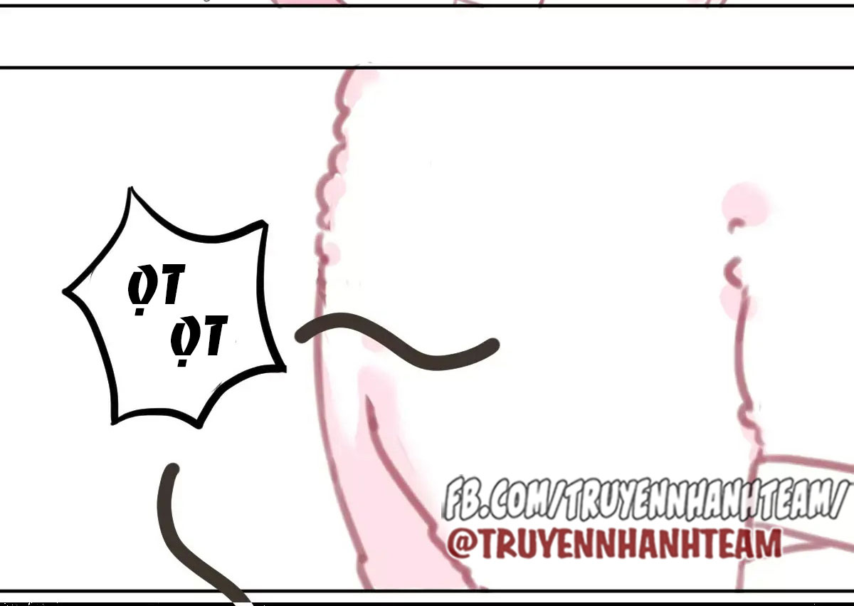 xã hội mèo chapter 2 17