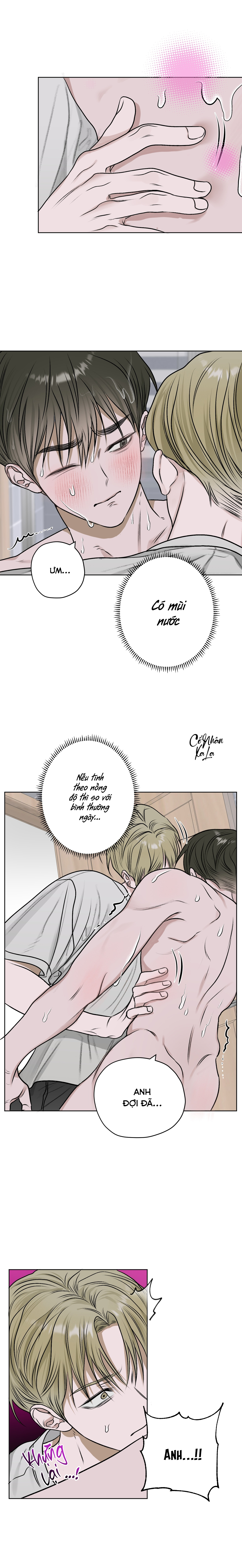 ao hoa chapter 12 16