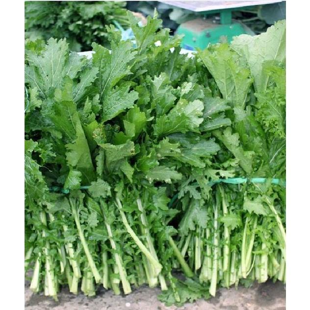 Hạt giống rau cải mèo Hà Giang - gói 1kg