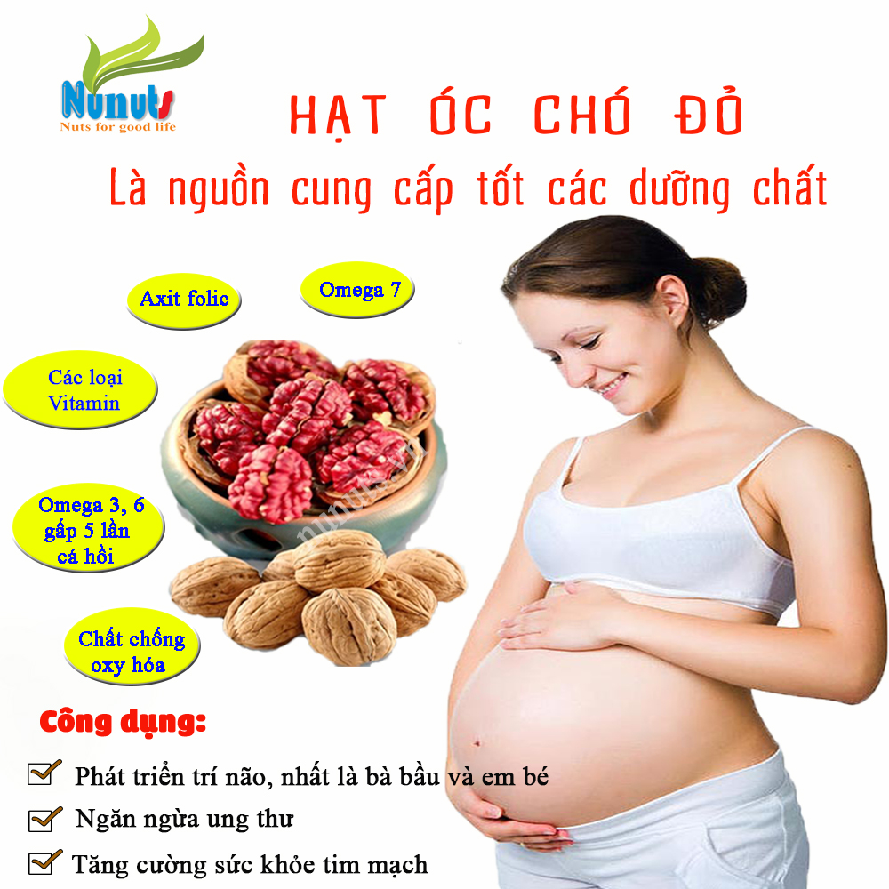 Hạt óc chó đỏ còn vỏ Mỹ, tặng kèm khạy tách vỏ trong túi,hạt vụ mùa mới, không hôi dầu, không chất bảo quản, hạt óc chó hữu cơ cho mẹ bầu hết nghén con thông minh Nunuts