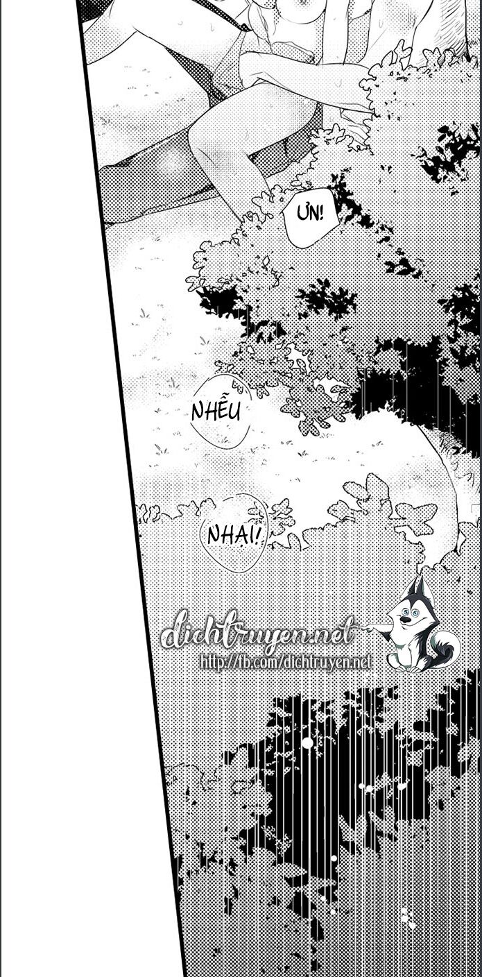 sai rồi, sếp tây nhà tôi không phải là quý ông đâu! chapter 46 2