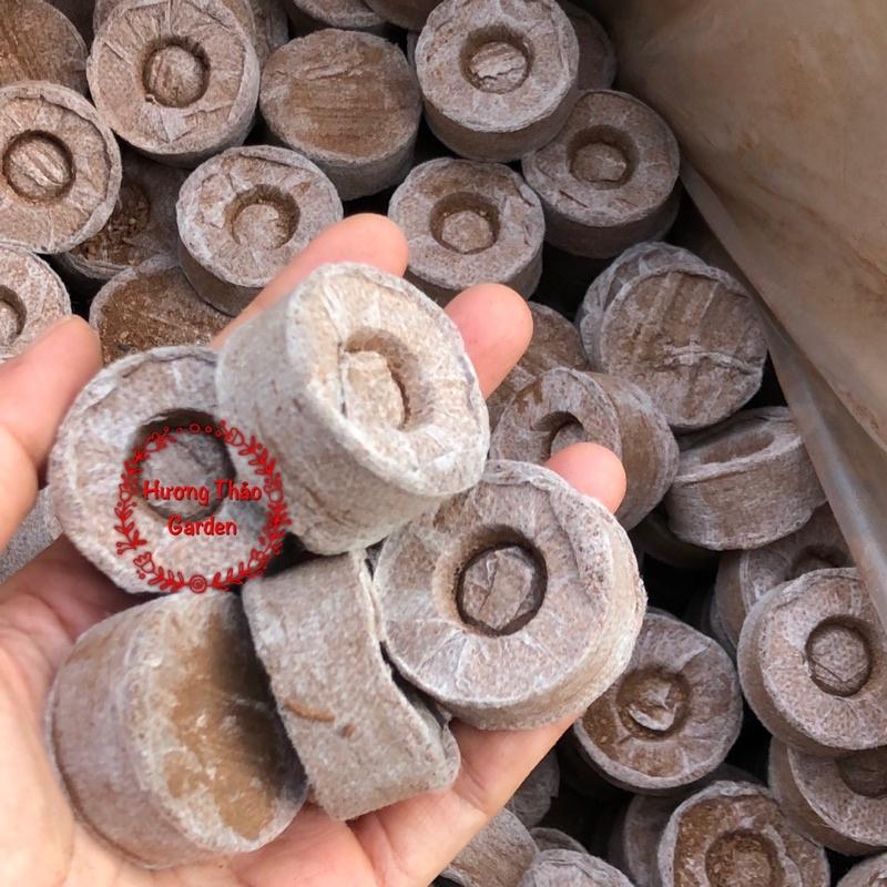 10 Viên Nén Sơ Dừa Ươm Hạt Giống