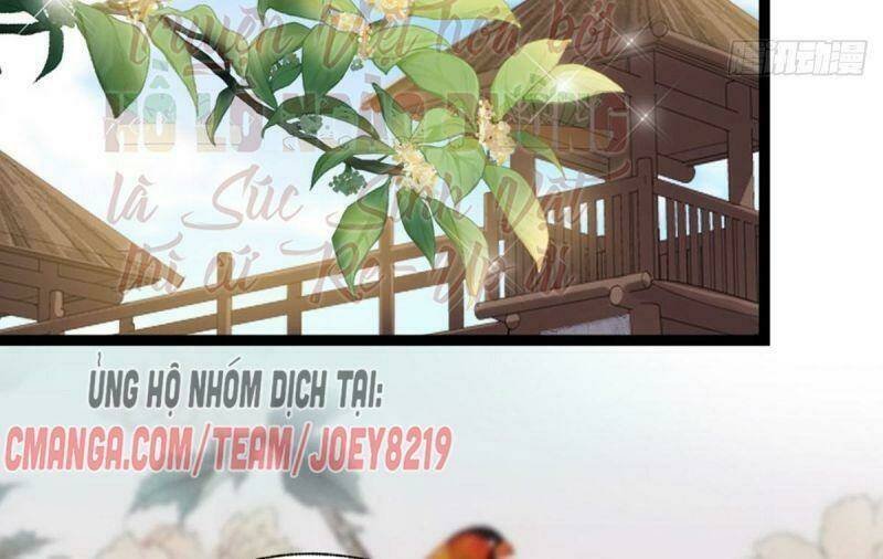 đứng yên ! phụng chỉ đánh cướp đây chapter 34 44