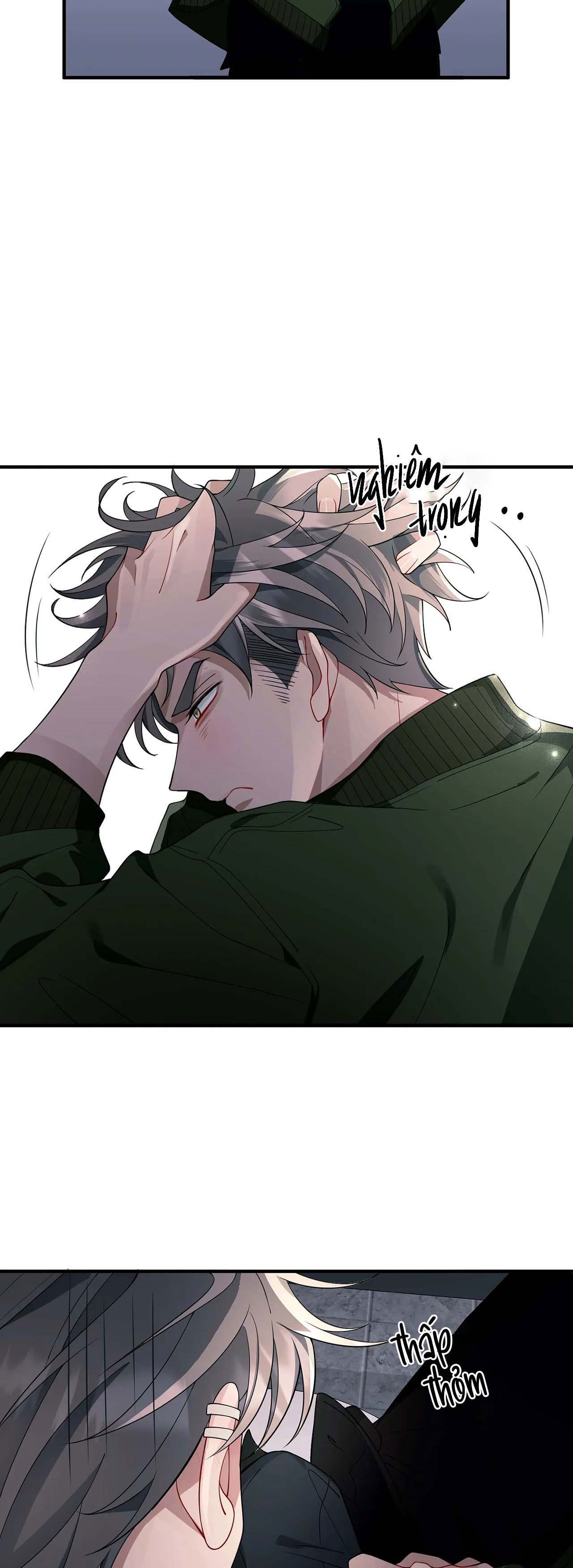 vết tích chapter 8 36