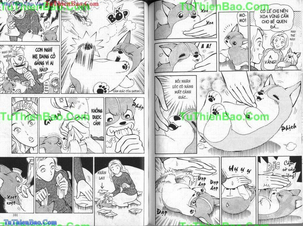 chó con mo mo chapter 6 51