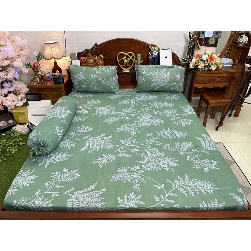 Drap thun hàn quốc
