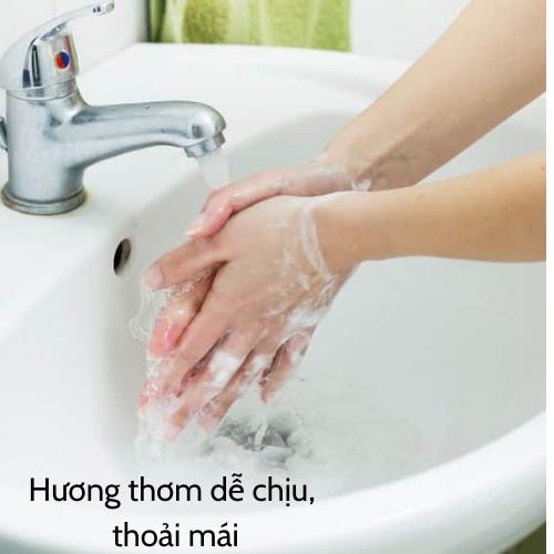 Nước rửa tay DIỆT KHUẨN SUZY 4L - thành phần HỮU CƠ, chất lượng NHẬT BẢN