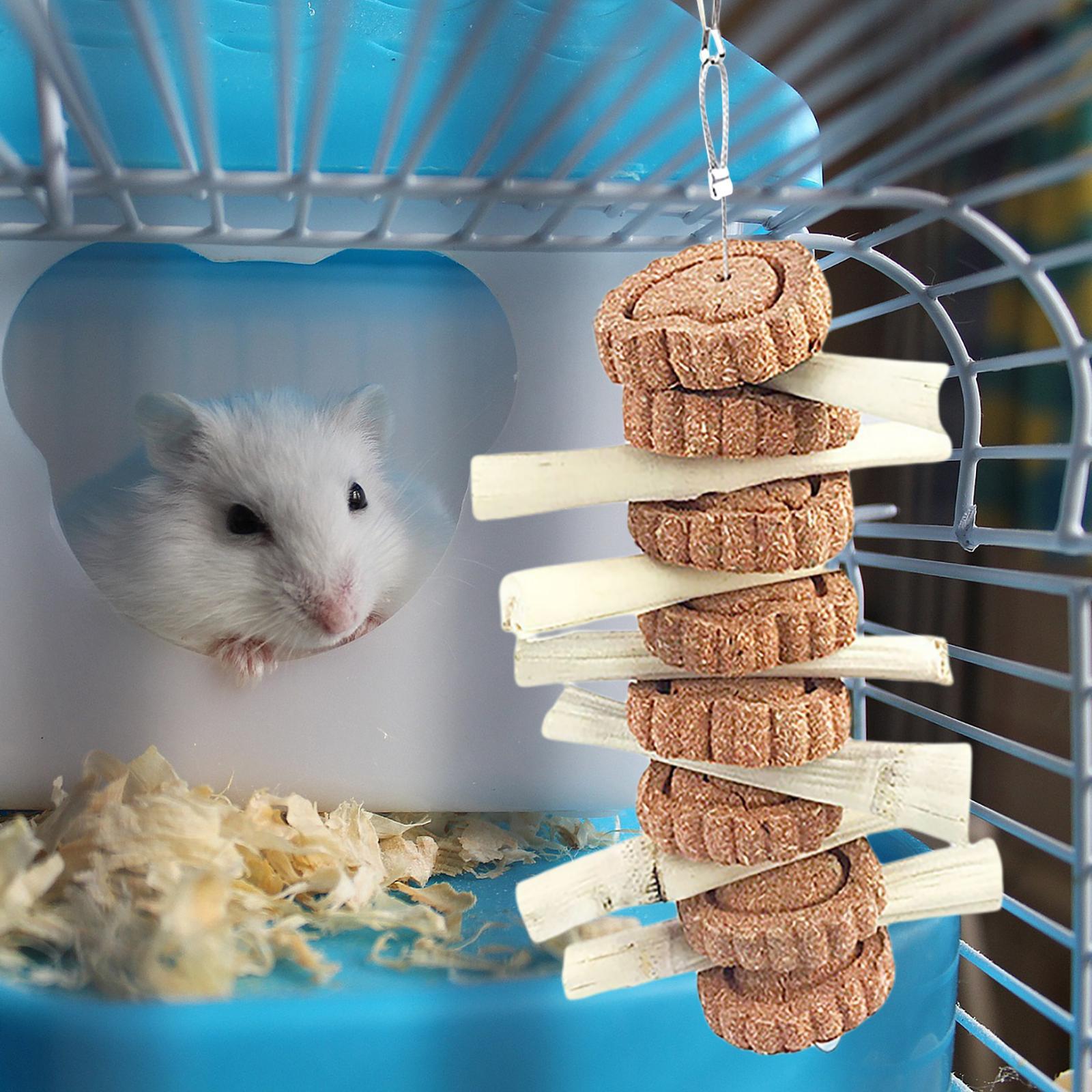 Set of 2 Guinea Pig Hamster Rabbit Chew Toy Teeth Grinding Cage Hanging