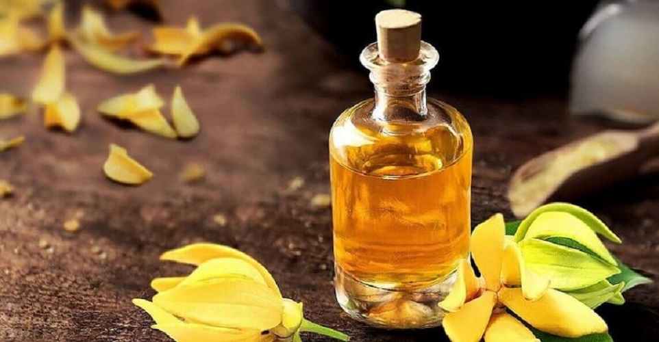 Tinh Dầu Ngọc Lan Tây Nguyên Chất TIDAMO (Ylang Ylang) - Tinh Dầu Cao Cấp Nhập Khẩu Từ Ấn Độ, Xông Hương Thơm Phòng, Thư Giãn, Nâng Cao Sức Khỏe - Kiểm Nghiệm Chất Lượng Tại Trung Tâm Quatest 3