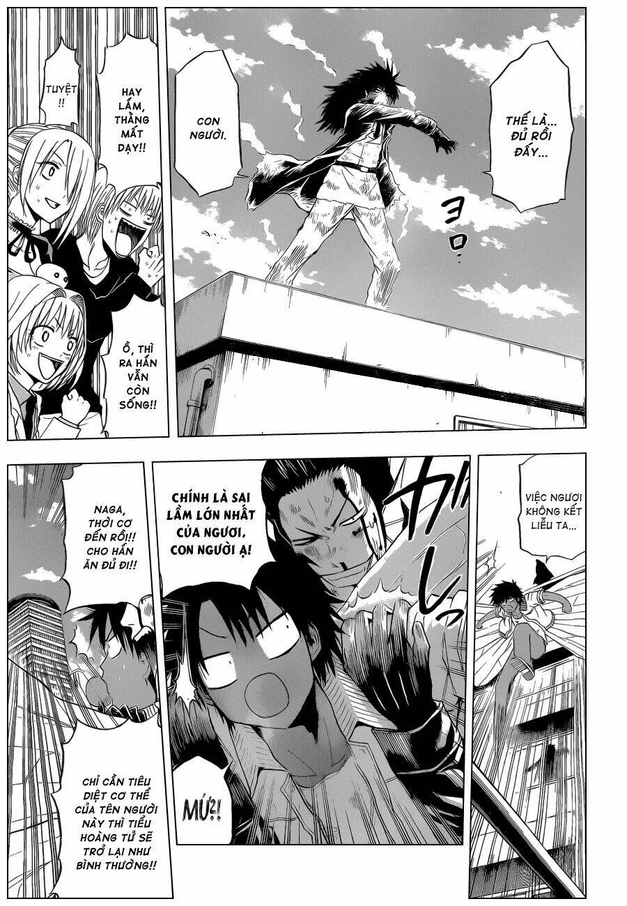 beelzebub - vua quỷ chapter 109 8