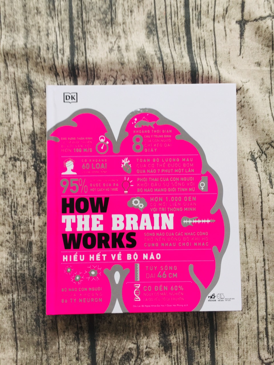 How The Brain Works - Hiểu Hết Về Bộ Não