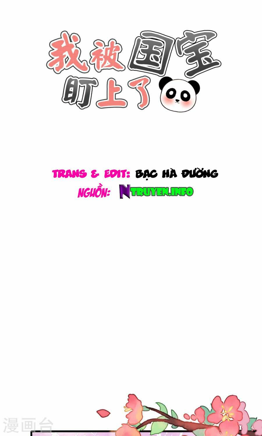 tôi bị gấu trúc nhìn trúng rồi chapter 12 1
