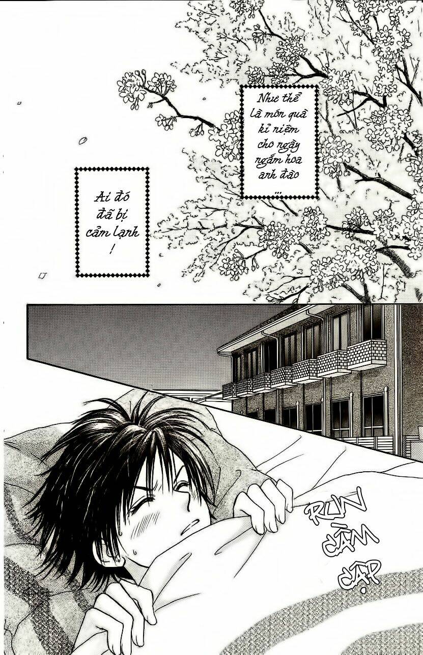 venus in love - trái tim thầm mến chapter 27 3