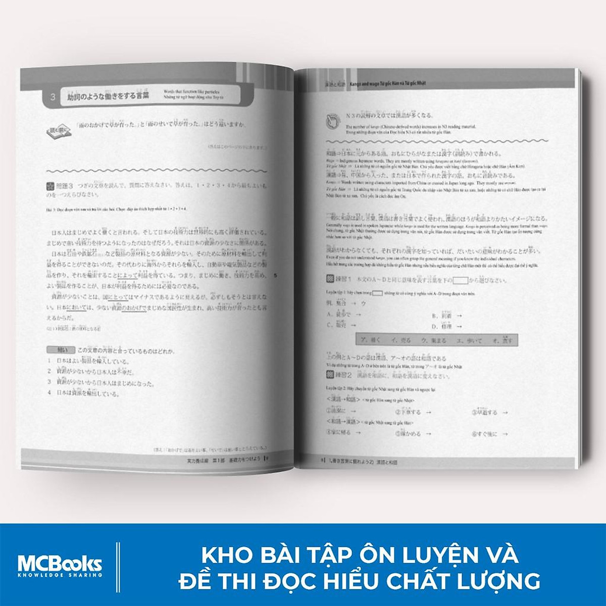 Luyện Thi Năng Lực Tiếng Nhật Đọc Hiểu N3 - Trang Bị Kiến Thức Cho Kỳ Thi JLPT N3 - MinhAnBooks