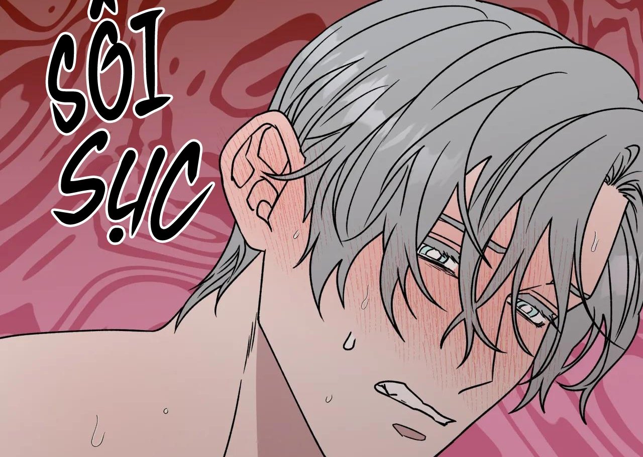 ám ảnh pheromone chapter 63 74