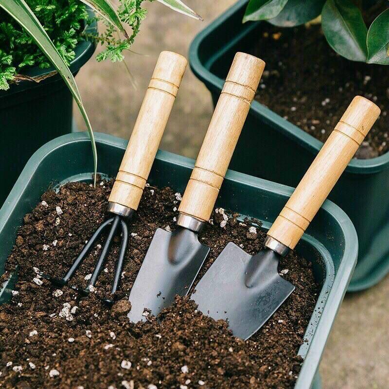Bộ 3 Món Dụng Cụ Làm Vườn To