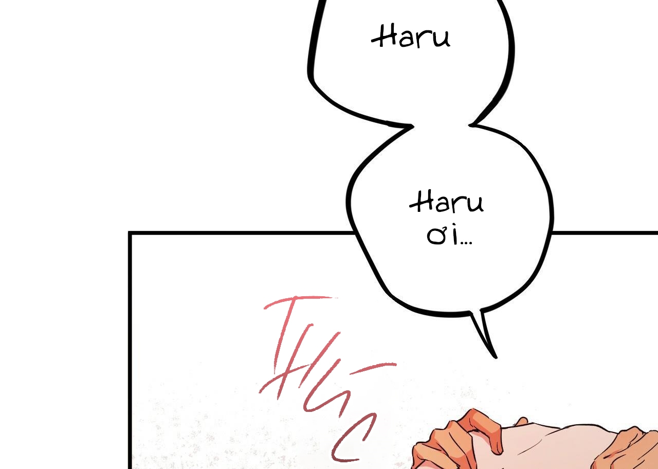 đàn thỏ của habibi chapter 54 222