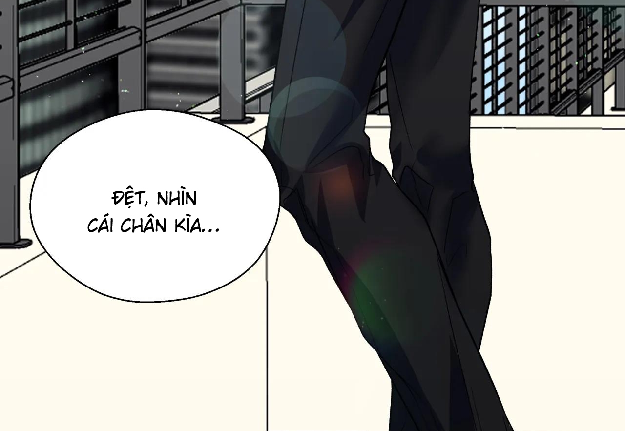 ám ảnh pheromone chapter 41 24