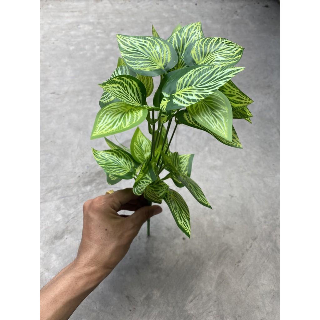 Cành lá dương sỉ điểm trang trí