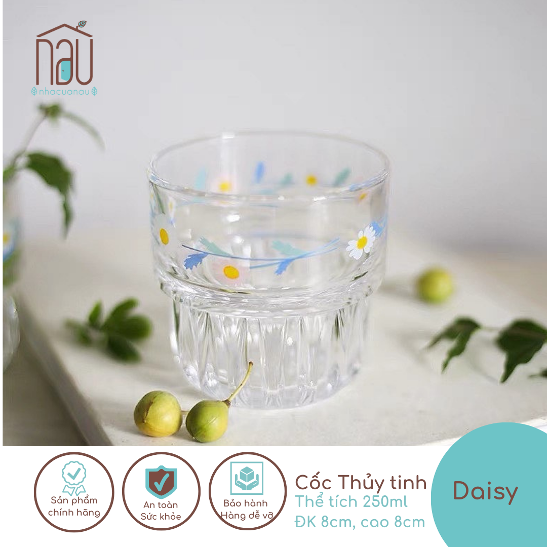 Cốc thủy tinh DAISY chịu nhiệt đa năng dùng uống nước, chụp ảnh, trang trí